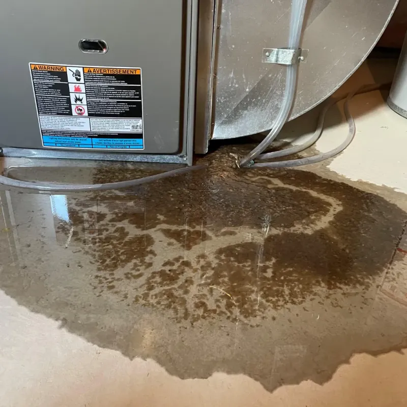 Appliance Leak Cleanup in Pettis County, MO